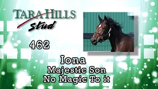 H462 Iona BBook