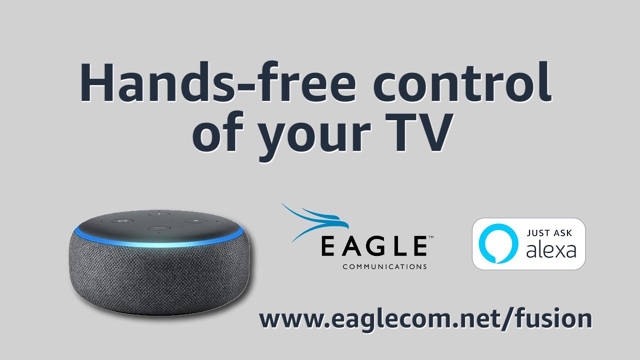 Goldeneggeaglecomnet Eagle Communications Golden Egg Hunt