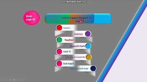 Afaq sun series |Book science| Unit 7| Grade 3 Life Cycle of a Butterfly 🦋| part 3