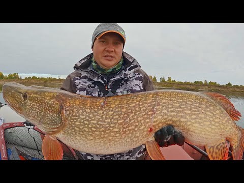 ШОК РЫБАЛКА!!! НА СПИННИНГ КЛЮНУЛА ОГРОМНАЯ РЫБА! Что было дальше?