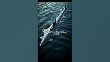 Fish Fins to Submarine Wings: The Evolution of Design!