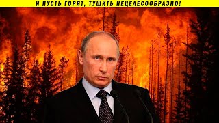 Путинские друзья убивают Россию! Экология, лесные пожары, нефть и поправки