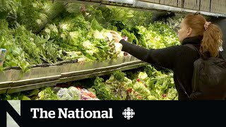 Inflation falls to 2-year low, but costs remain high