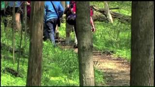 What you need to know about ticks