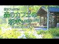 森のカフェの朝ボッサ～ボサノバ～♪鳥達の声入り【カフェBGM】