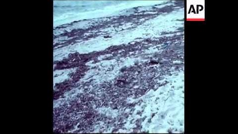 SYND 18-2-74 POLLUTED STRETCHES OF SHORE