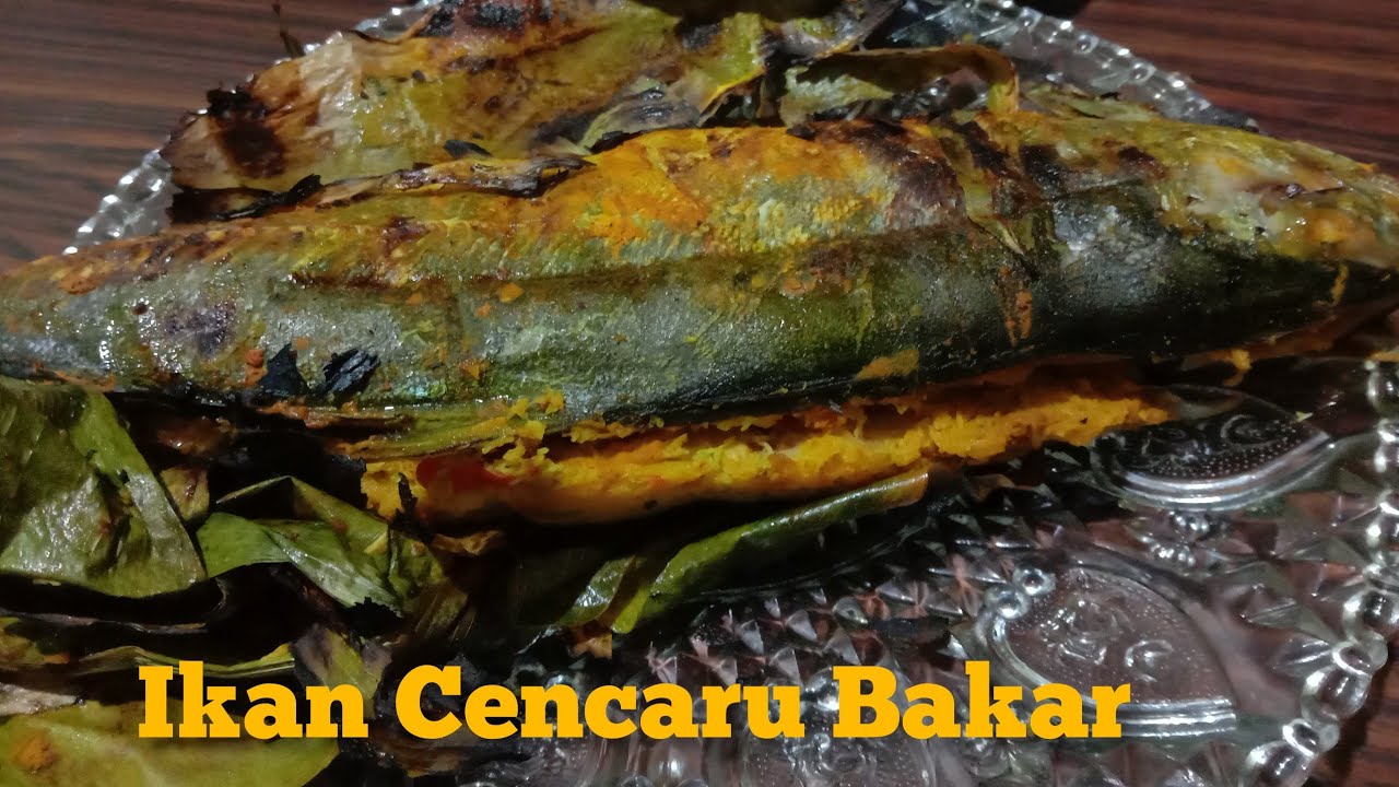 Ikan Cencaru Bakar Sumbat Kelapa Youtube