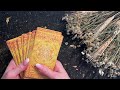 ТАРО НЕДЕЛИ 1 часть🌟 18-24/09/23 🎁 Овен ♈️ Телец ♉️ Близнецы ♊️ Рак ♋️ Лев ♌️ Дева 💫 AIDA LEMAR
