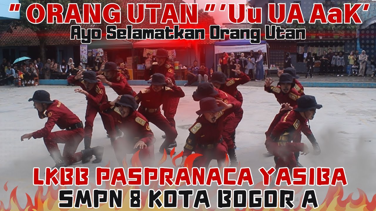 AYO .. SELAMATKAN ORANG UTAN .. !!! PASKIBRA SMPN 8 KOTA BOGOR A - LKBB MTS YASIBA KOTA BOGOR