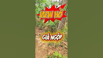 Đất Dầu Tiếng I Bán gấp lô đất view Hồ Dầu Tiếng 10 × 113 ( sổ hồng riêng) #datdautieng