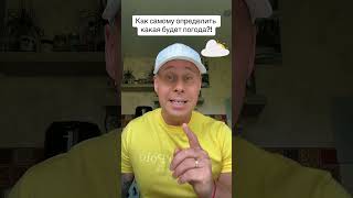 Как самому определить какая будет погода?!￼#лайфхаки #погода #обучение #советы #bobbygrant690