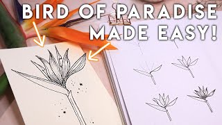 How To Draw Bird Of Paradise Like A Boss ✨