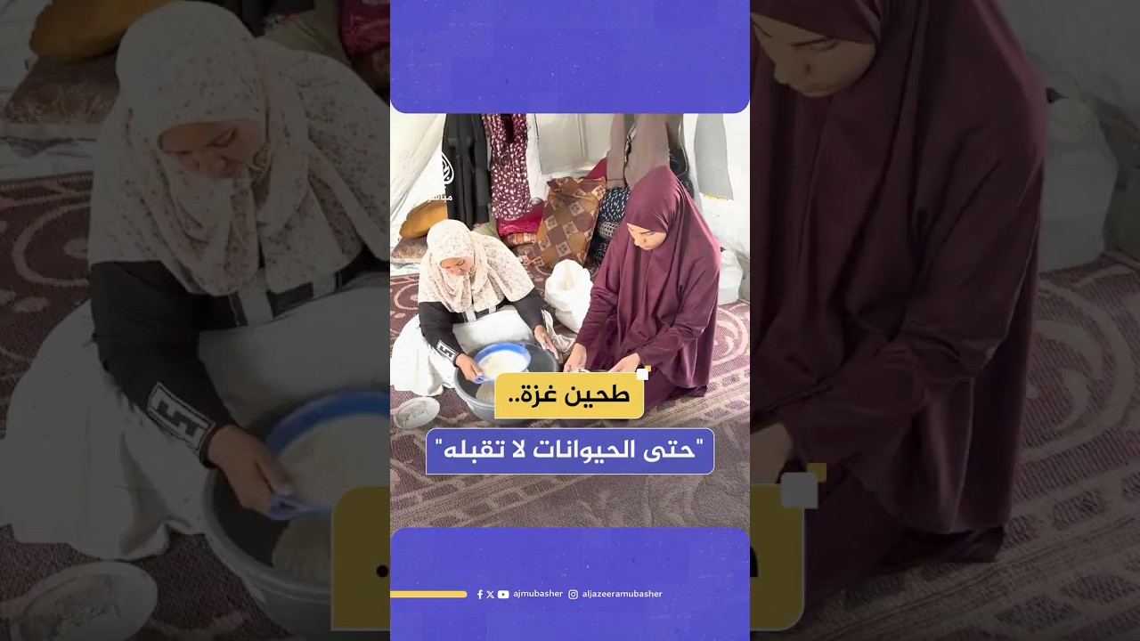 أهل غزة يأكلون الطحين مع الحشرات للبقاء على قيد الحياة
