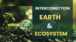 The Interconnectedness of Earth’s Ecosystems