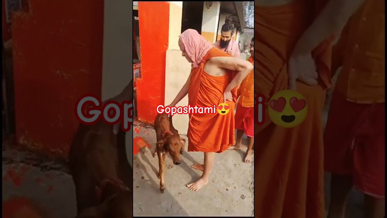 Да здравствует Мама Корова🙏 