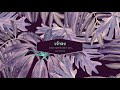 [ClorenThia] เจ้าจง Instrumental ver. (Original song)