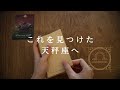 【天秤座🎖️下半期の運勢】✨個人鑑定級✨人生レベルが底上げされる半年間🔥2026年タロット