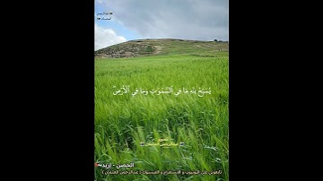 أول آية من سورة التغابن|الشيخ عبدالباسط عبدالصمد رحمه الله|تلاوة خاشعة|حالات واتس|الحصن اربد الاردن