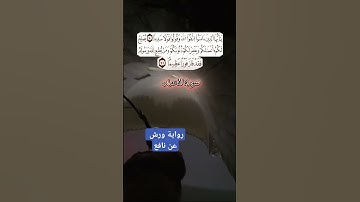 من أواخر سورة الأحزاب 🌹🌷🌸 أيام رمضان 2025🌸🌹 #القرآن_الكريم #القرآن_الكريم #القران_الكريم #الجزائر