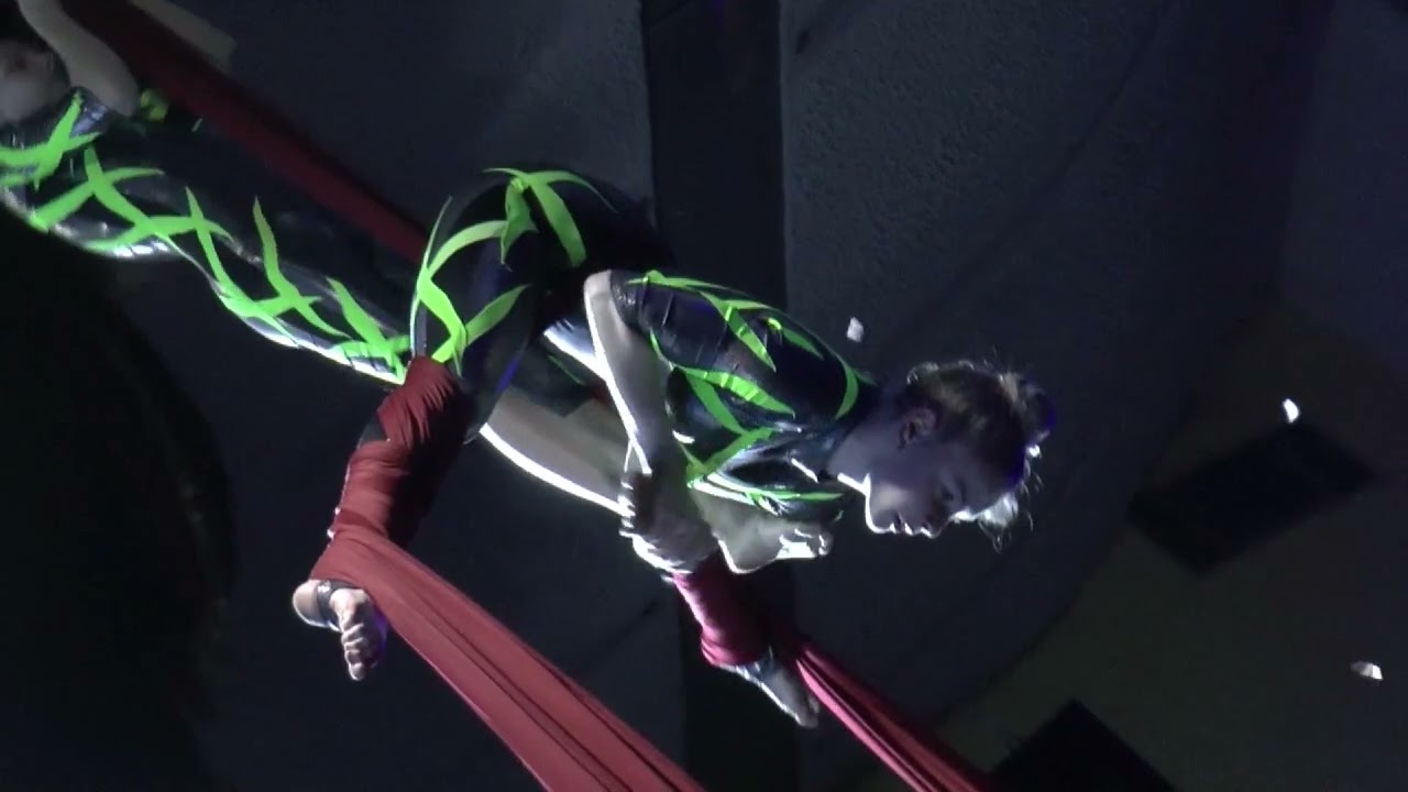 Народный эстрадно-цирковой ансамбль 