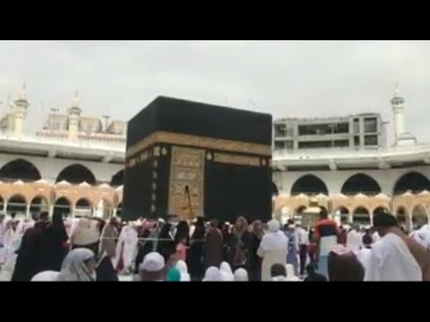 نشيد على المدينه وعلى المدينه