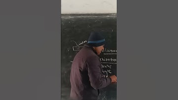 Pollen grains seen  under Scanning Electron Microscope