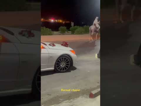 Baroud Algérien Algeria Baroud Voyage Chaoui