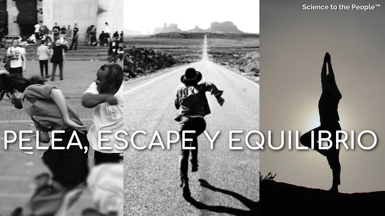 PELEA, ESCAPE Y EQUILIBRIO