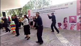 20240906_Mambo #8