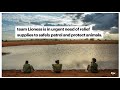 Team Lioness Ranger Unit Protects Wildlife During COVID-19