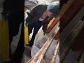 即指導案件🗑✨覚悟しといて😤#女大工 #建設女子 #建築女子