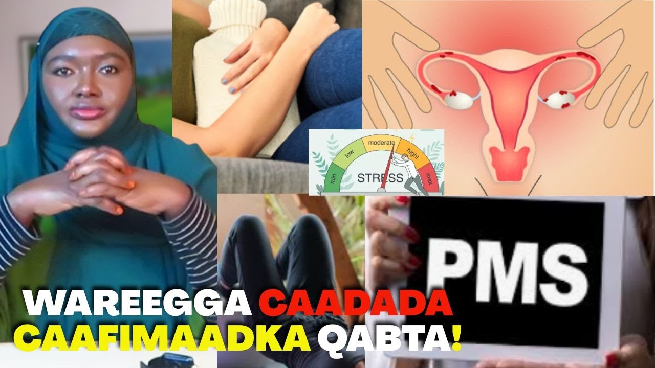 8-DAAN ASTAAMOOD MA ISKU ARAGTAA?