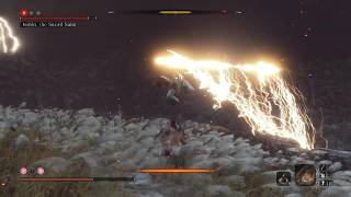 Sekiro: Shadows Die Twice - Sword Saint Isshin