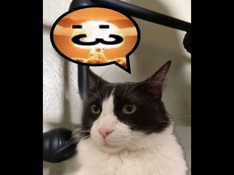 1hour ASMR edgebug compilation