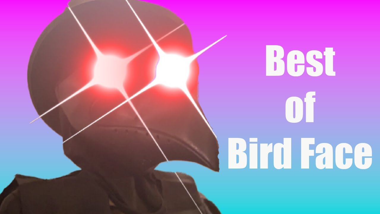 Best of Bird Face YouTube