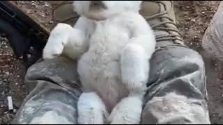 Ayağında Salla Yavru Köpeği Uyutan Askerimiz