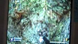 Wii COD 5 glitches on cliffside