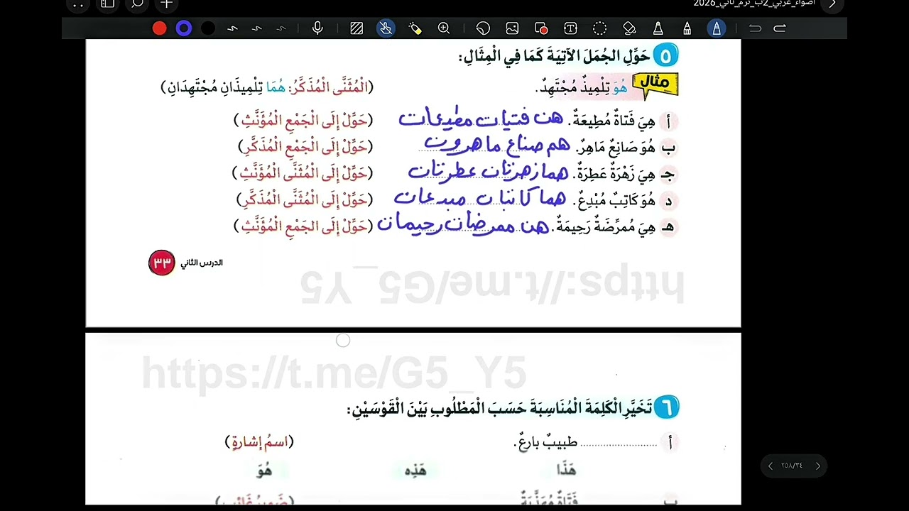 حل تدريبات كتاب الاضواء (ضمائر الغائب) للصف الثاني الابتدائي صفحه ٣٣- ٣٤ 