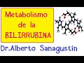 METABOLISMO DE LA BILIRRUBINA (Fisiología)