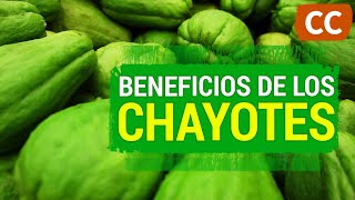 Beneficios de los Chayotes | Ciencia de la Comida