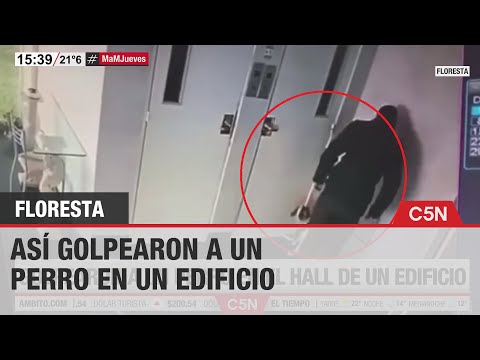 Así GOLPEARON a un PERRO en el hall de un edificio en FLORESTA