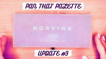 PAN THAT PALETTE 2021 UPDATE #3 I PROJECT PAN UPDATE I ABH NORVINA PALETTE