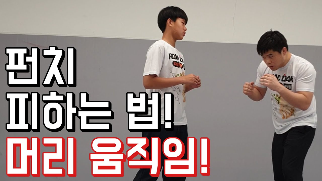 펀치 피하는 법! 머리 움직임(위빙 슬리핑 등)