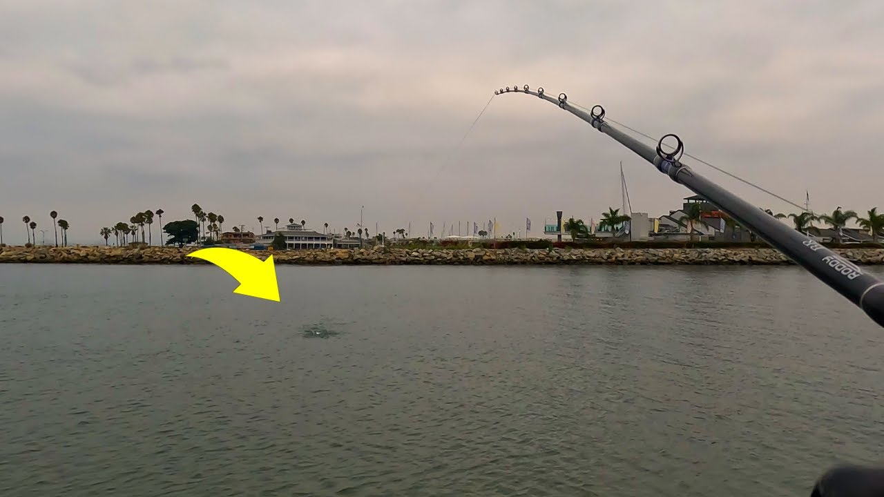 Solo Fishing & Exploring Seal Beach Jetty