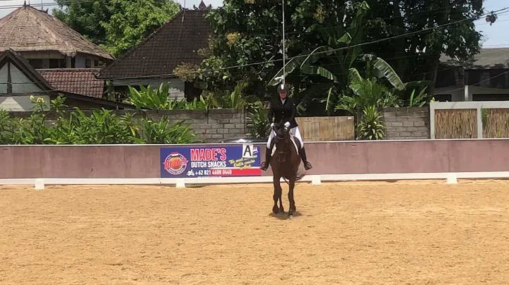 Alison Goodwin - Elianta - Preliminary Open Class
