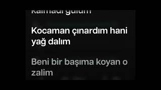 Kader Bize Gülecekmiş