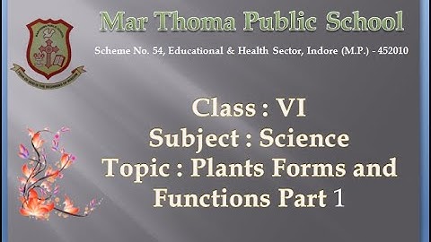Class VI Science Topic :Plants   Forms and Functions Part 1