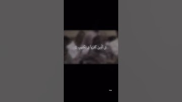 تلاوه من سورة البروج القارئ محمد اللحيدان