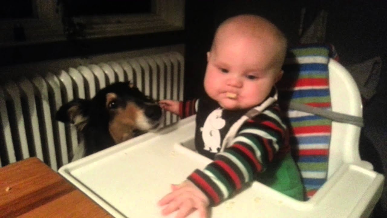 Oscar & Tissla äter kex