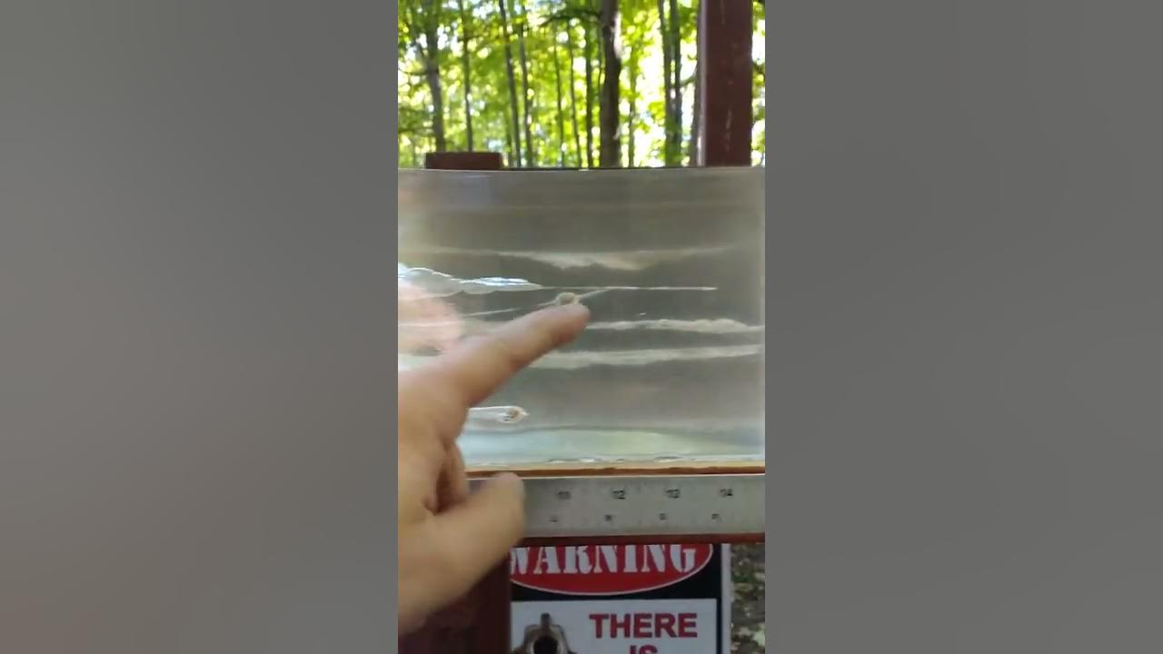 22-short-vs-22-long-vs-22-lr-vs-22-magnum-into-ballistics-gel